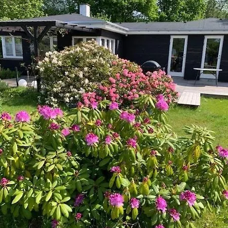 Cosy With Modern Facilities, Large Terraces, Shelter And Outdoor Shower Just 200 Metres From Skodshoved And The Marina *